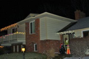 Xmas Decorations - very Ironic